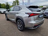 Lexus NX bei Sportwagen.expert - Abbildung (3 / 15)