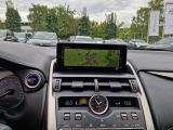 Lexus NX bei Sportwagen.expert - Abbildung (14 / 15)
