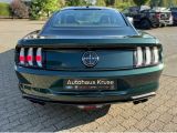 Ford Mustang bei Sportwagen.expert - Abbildung (10 / 15)