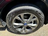Ford Kuga bei Sportwagen.expert - Abbildung (6 / 15)