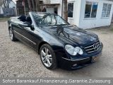 Mercedes-Benz CLK-Klasse bei Sportwagen.expert - Abbildung (3 / 12)