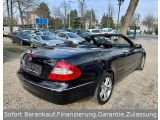 Mercedes-Benz CLK-Klasse bei Sportwagen.expert - Abbildung (10 / 12)