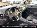Mercedes-Benz B-Klasse bei Sportwagen.expert - Abbildung (15 / 15)
