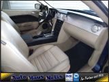 Ford Mustang bei Sportwagen.expert - Abbildung (13 / 15)