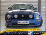 Ford Mustang bei Sportwagen.expert - Abbildung (3 / 15)