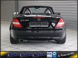 Mercedes-Benz SLK-Klasse bei Sportwagen.expert - Abbildung (4 / 15)