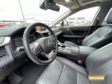 Lexus RX bei Sportwagen.expert - Abbildung (9 / 15)