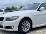 BMW 3er bei Sportwagen.expert - Abbildung (2 / 15)