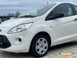 Ford Ka bei Sportwagen.expert - Abbildung (2 / 15)