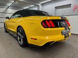 Ford Mustang bei Sportwagen.expert - Abbildung (7 / 15)