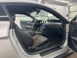 Ford Mustang bei Sportwagen.expert - Abbildung (13 / 15)