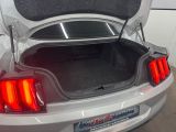 Ford Mustang bei Sportwagen.expert - Abbildung (7 / 15)