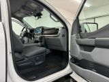 Ford F bei Sportwagen.expert - Abbildung (14 / 15)