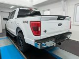 Ford F bei Sportwagen.expert - Abbildung (5 / 15)