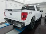 Ford F bei Sportwagen.expert - Abbildung (4 / 15)