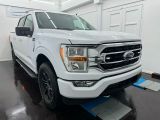 Ford F bei Sportwagen.expert - Abbildung (2 / 15)