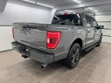 Ford F bei Sportwagen.expert - Abbildung (4 / 15)