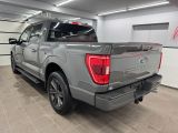 Ford F bei Sportwagen.expert - Abbildung (5 / 15)