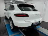 Porsche Macan bei Sportwagen.expert - Abbildung (4 / 15)