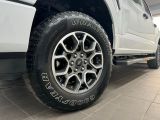 Ford F bei Sportwagen.expert - Abbildung (9 / 15)