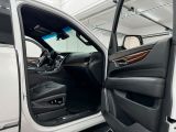 Cadillac Escalade bei Sportwagen.expert - Abbildung (12 / 15)