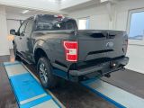 Ford F bei Sportwagen.expert - Abbildung (4 / 15)