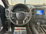 Ford F bei Sportwagen.expert - Abbildung (13 / 15)