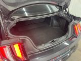 Ford Mustang bei Sportwagen.expert - Abbildung (7 / 15)