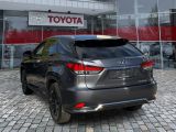 Lexus RX bei Sportwagen.expert - Abbildung (3 / 15)