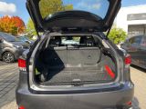 Lexus RX bei Sportwagen.expert - Abbildung (7 / 15)