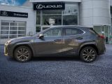 Lexus UX bei Sportwagen.expert - Abbildung (2 / 15)