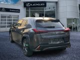 Lexus UX bei Sportwagen.expert - Abbildung (3 / 15)