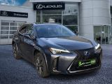 Lexus UX bei Sportwagen.expert - Abbildung (5 / 15)