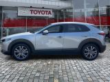 Mazda CX-30 bei Sportwagen.expert - Abbildung (2 / 15)