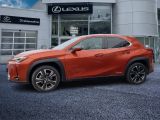 Lexus UX bei Sportwagen.expert - Abbildung (2 / 15)