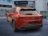 Lexus UX bei Sportwagen.expert - Abbildung (3 / 15)