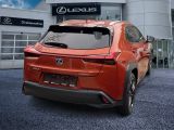 Lexus UX bei Sportwagen.expert - Abbildung (4 / 15)