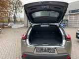 Lexus UX bei Sportwagen.expert - Abbildung (7 / 15)