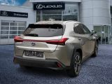 Lexus UX bei Sportwagen.expert - Abbildung (4 / 15)