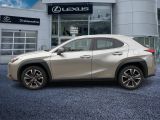 Lexus UX bei Sportwagen.expert - Abbildung (2 / 15)