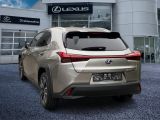 Lexus UX bei Sportwagen.expert - Abbildung (3 / 15)