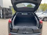 Lexus UX bei Sportwagen.expert - Abbildung (7 / 15)