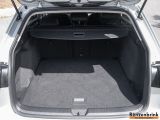 VW Golf VIII bei Sportwagen.expert - Abbildung (4 / 14)