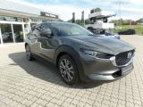 Mazda CX-30 bei Sportwagen.expert - Abbildung (3 / 10)