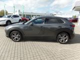 Mazda CX-30 bei Sportwagen.expert - Abbildung (10 / 10)