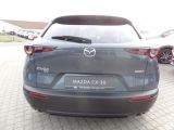 Mazda CX-30 bei Sportwagen.expert - Abbildung (6 / 10)