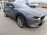 Mazda CX-30 bei Sportwagen.expert - Abbildung (3 / 10)