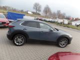 Mazda CX-30 bei Sportwagen.expert - Abbildung (4 / 10)