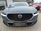 Mazda CX-30 bei Sportwagen.expert - Abbildung (2 / 10)