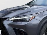 Lexus NX bei Sportwagen.expert - Abbildung (14 / 14)